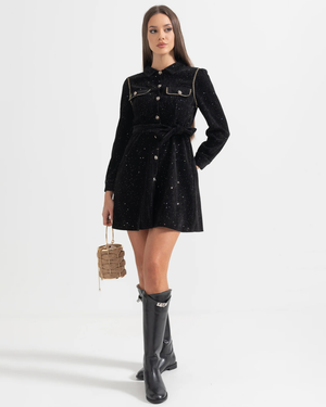 Elegant Shiny Winter  Mini Dress