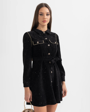 Elegant Shiny Winter  Mini Dress